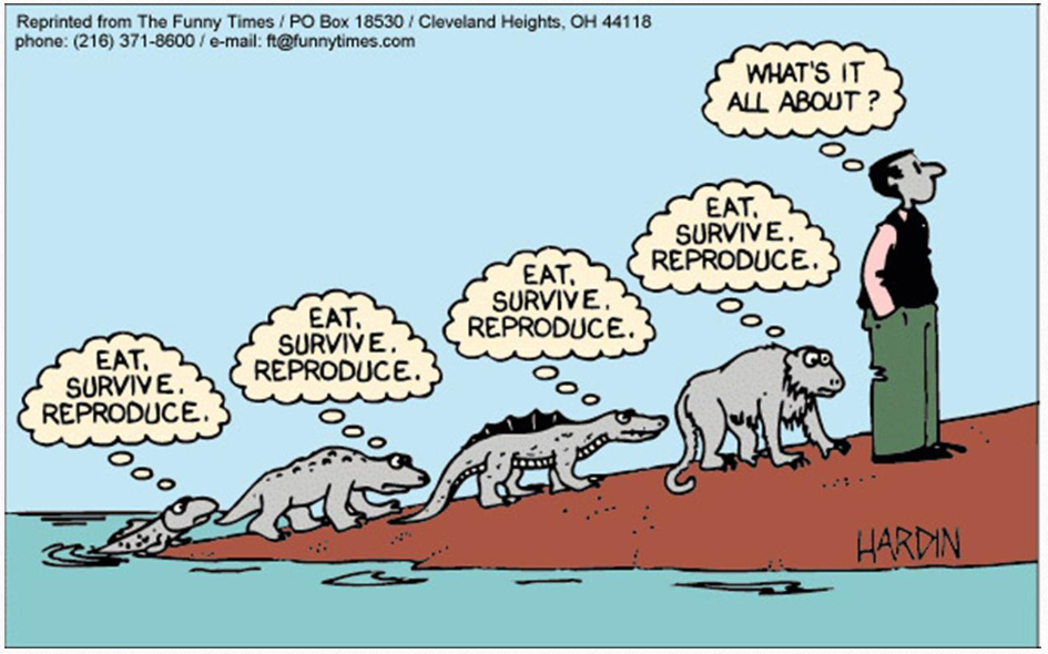 <ul><li><p>Griekse oorsprong:</p><ul><li><p>filein = begeren</p></li><li><p>sofia = wijsheid</p></li></ul></li><li><p>filosofie als an-archie (archè) → zonder vaste vertrekpunten</p><ul><li><p>DUS: geen strikte definitie</p></li></ul></li><li><p>wat doet filosofie?</p><ul><li><p>denkkaders aanreiken om meest fundamentele vraagstukken over mens &amp; wereld beter te begrijpen</p></li></ul></li></ul><p></p>