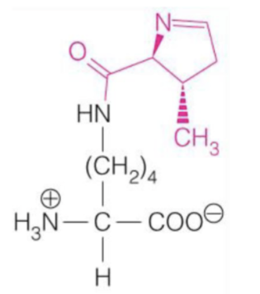 knowt flashcard image