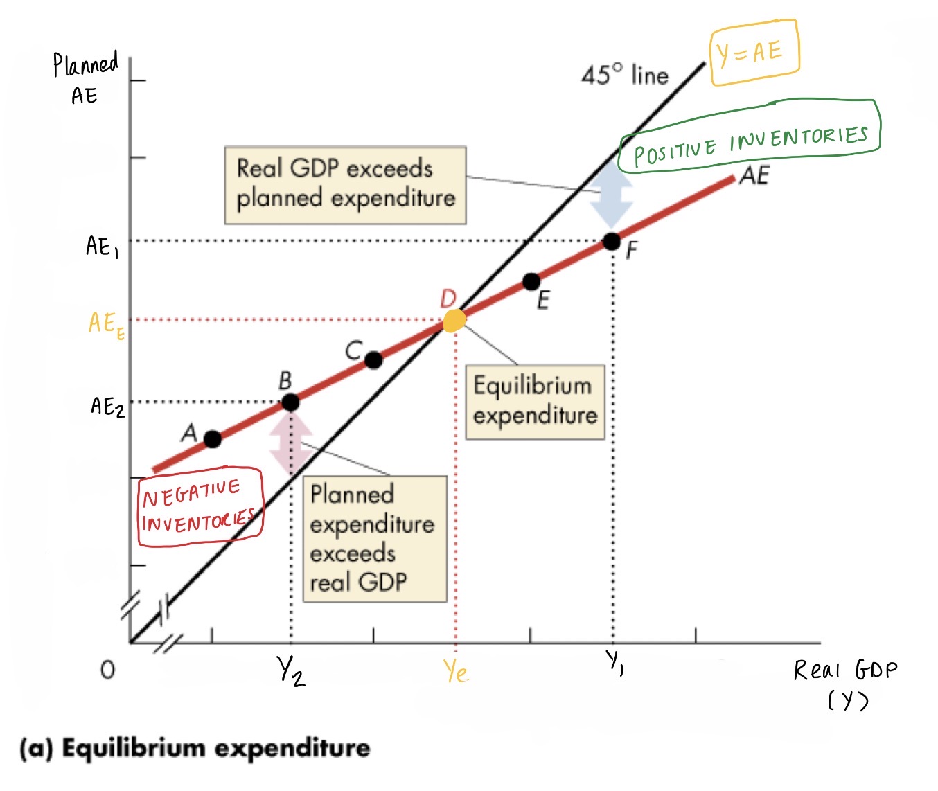 <p><strong><u>Equilibrium is when Y = AE </u></strong></p><p><em>(planned AE = real GDP) - however, sometimes actual AE doesn’t equal planned AE which causes unplanned changes to inventories </em></p><p></p><p><strong>> GDP > planned AE (AE curve is below 45</strong><span><strong>°</strong></span><strong> line):</strong></p><ul><li><p>Positive inventories - firms have unplanned INCREASE in inventories</p></li><li><p>Firms <span>↓production & ↓workforce > GDP FALLS (from Y<sub>1</sub> to Y<sub>e</sub>)</span></p></li></ul><p></p><p><strong>> planned AE > GDP (AE curve is above 45</strong><span><strong>° line):</strong></span></p><ul><li><p>Negative inventories - firms have unplanned DECREASE in inventories </p></li><li><p>Firms <span>↑production & ↑workforce > GDP RISES (from Y<sub>2</sub> to Y<sub>e</sub>)</span></p></li></ul><p></p>