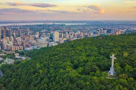 <p>What is Mont-Royal?</p>