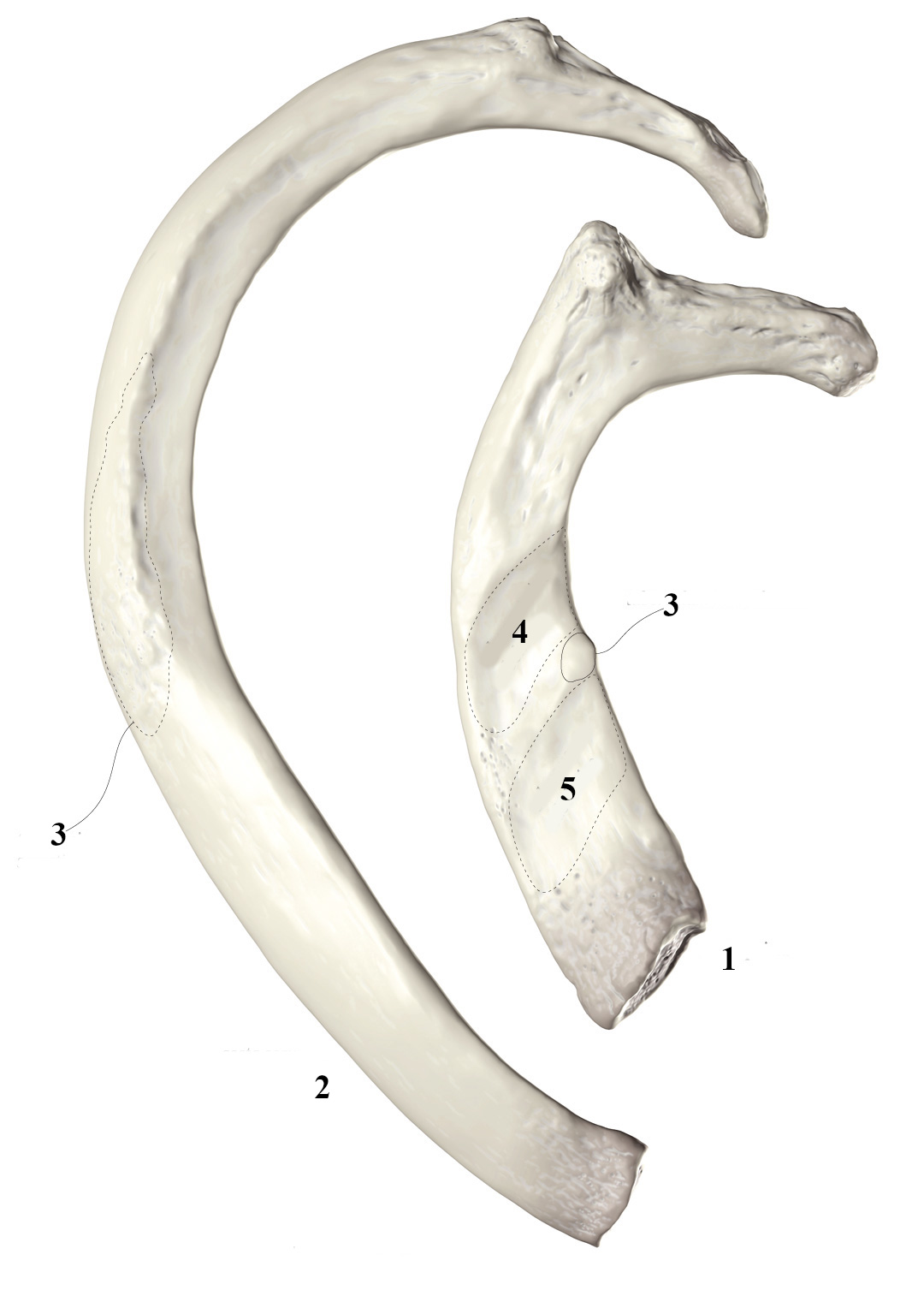 <p>1</p>