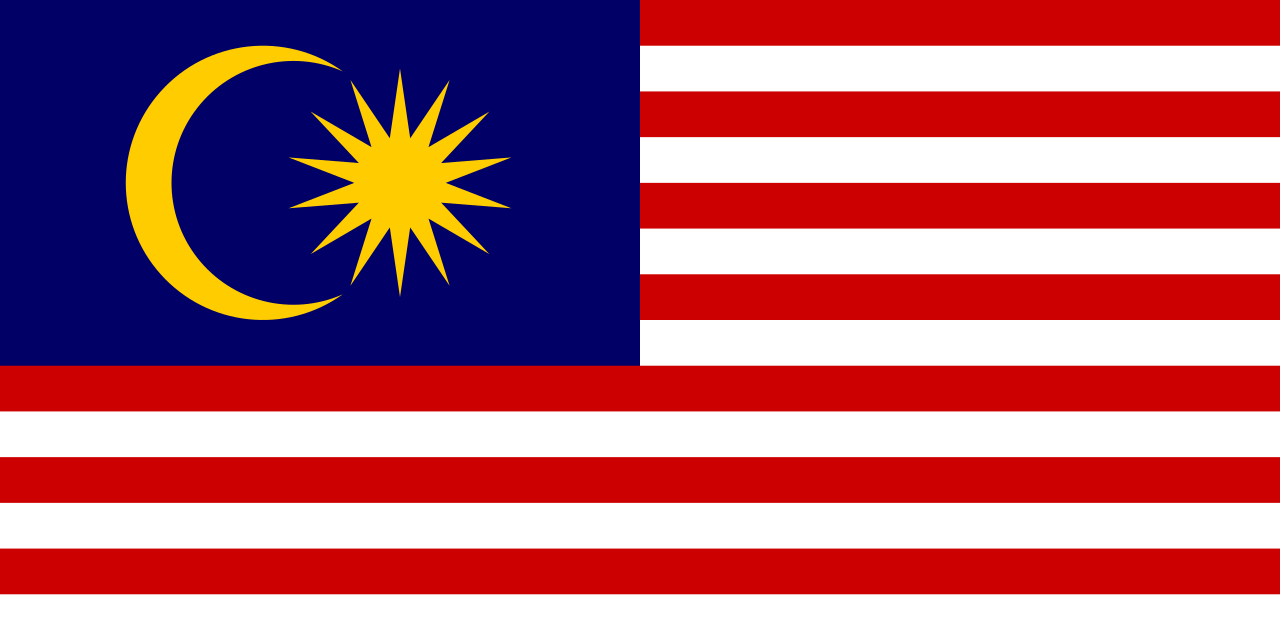 <p>Malaysia Airlines </p>