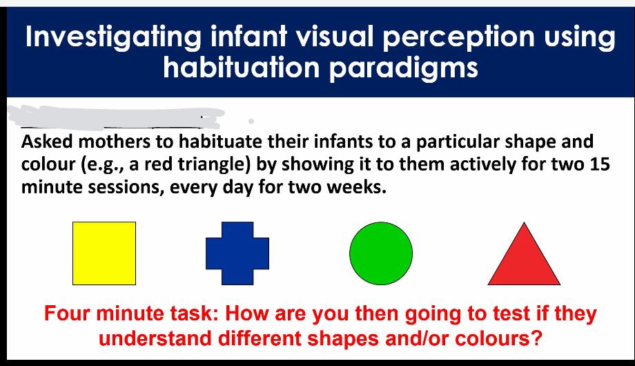 <p>Asked mothers to habituate their infants to a particular shape and color (e.g., a red triangle) by showing it to them actively for two 15 minute sessions, every day for two weeks</p>