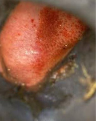 <p>What is this?</p>