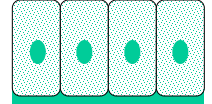 <p>What type of shape?</p>