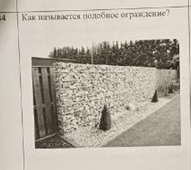 term image