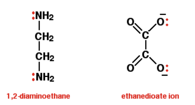 <ul><li><p>A ligand that is able to form 2 co-ordinate bonds to the central metal atom, as they have 2e- lone pairs</p></li><li><p>Ethanedioate and ethane-1,2-diamine</p></li></ul><p></p>