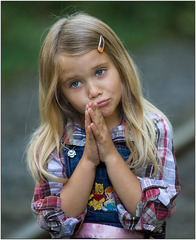 <p>Please</p>