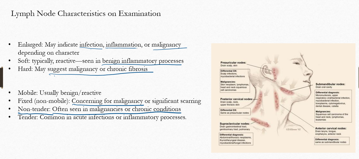 <p>Acute infection or inflammation</p>