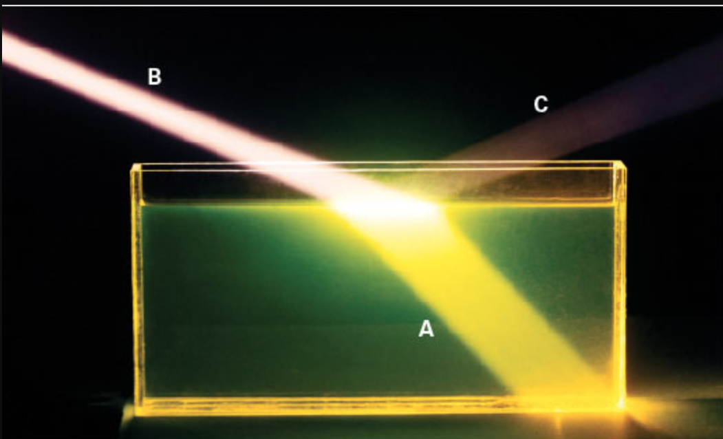 <p><span>The image shows light entering standing water in a laboratory experiment. Which answer correctly matches the type of light with its location on the image?</span></p>
