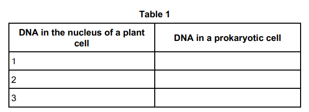<p>Complete Table 1 to show three differences between DNA in the nucleus of a plant cell and DNA in a prokaryotic cell. (3) </p>