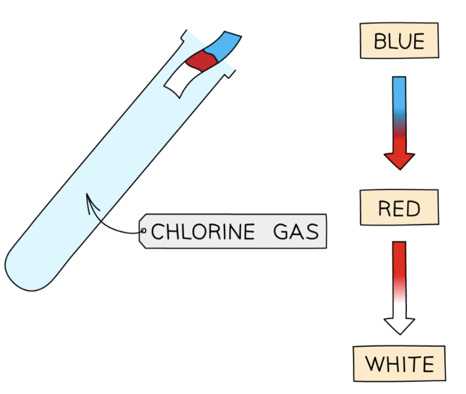 <ul><li><p>Gas that turns damp blue litmus red, and eventually bleaches white</p><ul><li><p>Explanation: turns red because chlorine is acidic when dissolved in water, white because it is strongly oxidizing</p></li></ul></li><li><p>Can also be identified by sharp, choking smell</p></li></ul><p></p>