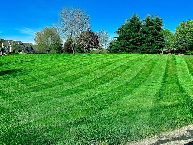 <p><span><strong>an </strong></span>area<span><strong> of </strong></span>grass<span><strong>, </strong></span>especially<span><strong> near to a </strong></span>house<span><strong> or in a </strong></span>park<span><strong>, that is </strong></span>cut<span><strong> </strong></span>regularly<span><strong> to </strong></span>keep<span><strong> it </strong></span>short</p>