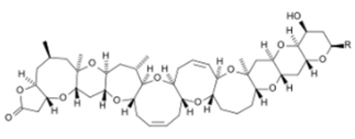 <p>•brevetoxin (polyketide) Karenia Brevis, binds to neurons, muscles, and secretory Cells through voltage-gated Na+ channels.</p>