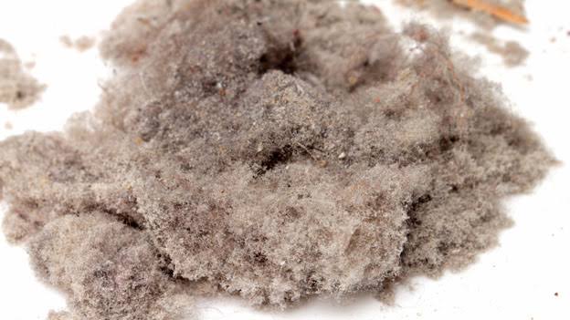 <p>Became dusty // dusty </p>