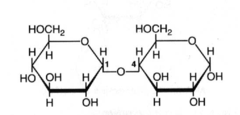 <p>Both OH groups in a polysaccharide are below the plane of interaction</p>