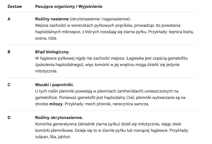 <p>A → mejoza - woreczki pyłkowe pręcików</p><p></p><p><span>Ponieważ lepnica jest rośliną kwiatową, a segregacja chromosomów (rozdzielenie pary X i Y) wymaga podziału redukcyjnego, pasuje tu tylko </span><strong>zestaw A</strong><span>.</span></p>