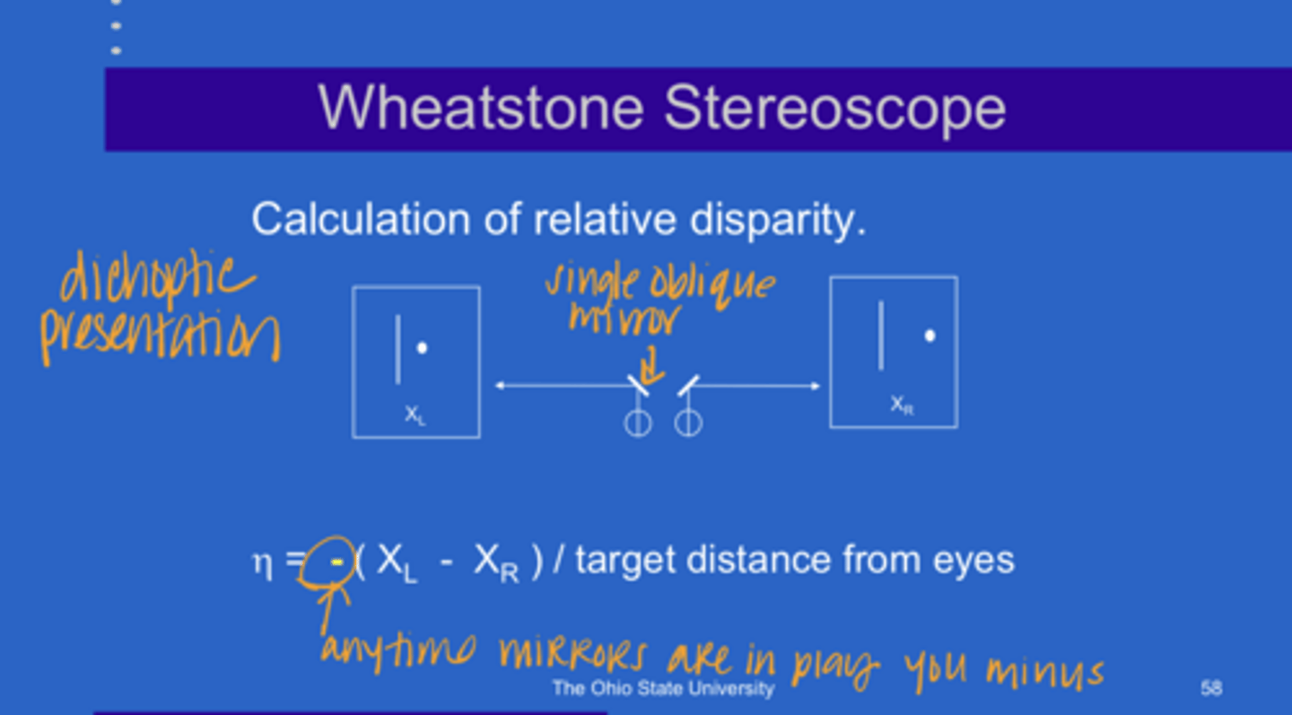 <p>What is the equation used to calculate relative disparity in a Wheatstone Mirror Stereoscope?</p>