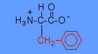 <p>hydrophobic, aromatic, relatively bulky</p>