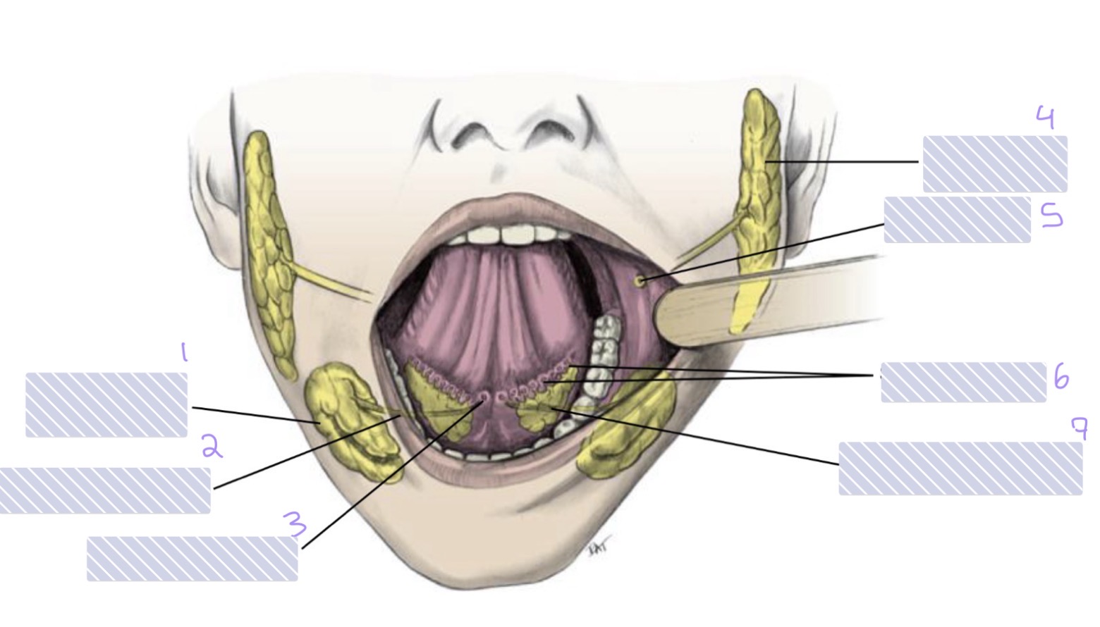 <p>6</p>