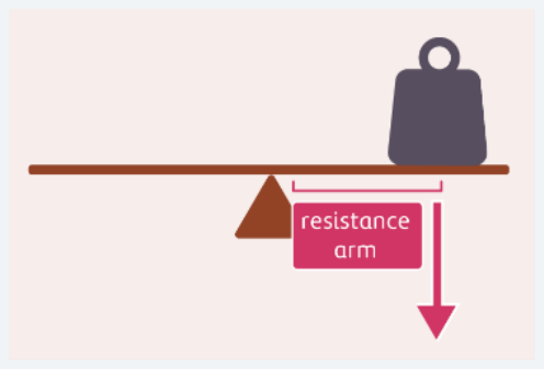 <p>The distance between the resistance force and fulcrum in a lever; it is longer than the effort arm in a speed multiplier.</p>