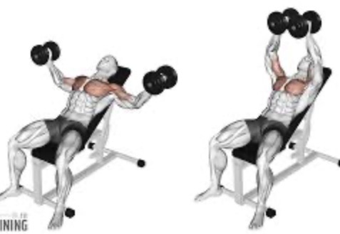 <p>Chest fly (DB+BB) target muscle</p>