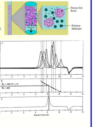 <p>size exclusion; dilute polymer soln. passes a column of porous beads, high MW molecules are excluded from the beads and elute first, low MW molecules pass through through the pores of the beads, elute later; essentially large can’t get into the pores so come out first/faster; most commonly used in polymers??</p>