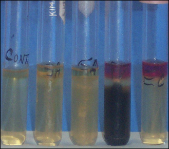 <p>Fe in medium- not a reagent but reacts with H2S to form a black precipitate</p><p>Kovac’s reagent</p>