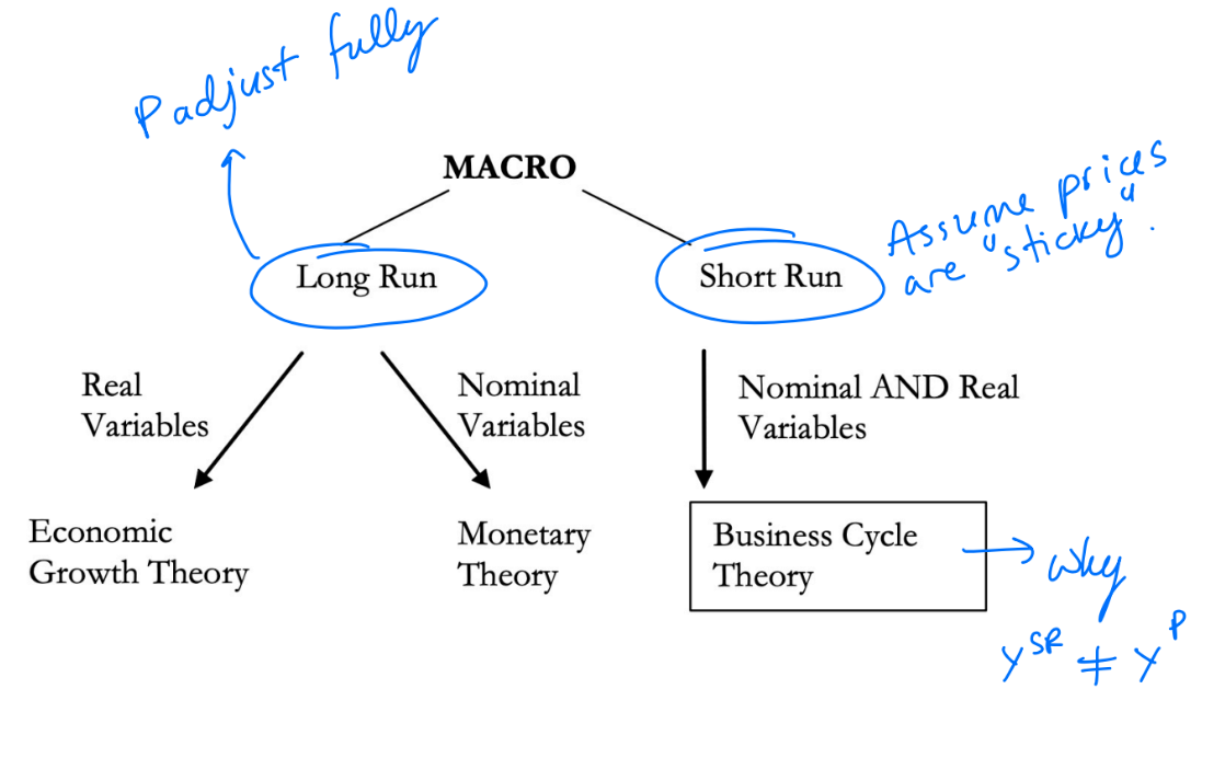 <ul><li><p>Long-run: prices are flexible &amp; able to adjust to all economic conditions.</p></li><li><p>Short run: Prices are fixed/ stuck because it takes time for firms to adjust and decide on the correct P to charge. </p></li></ul><p></p>