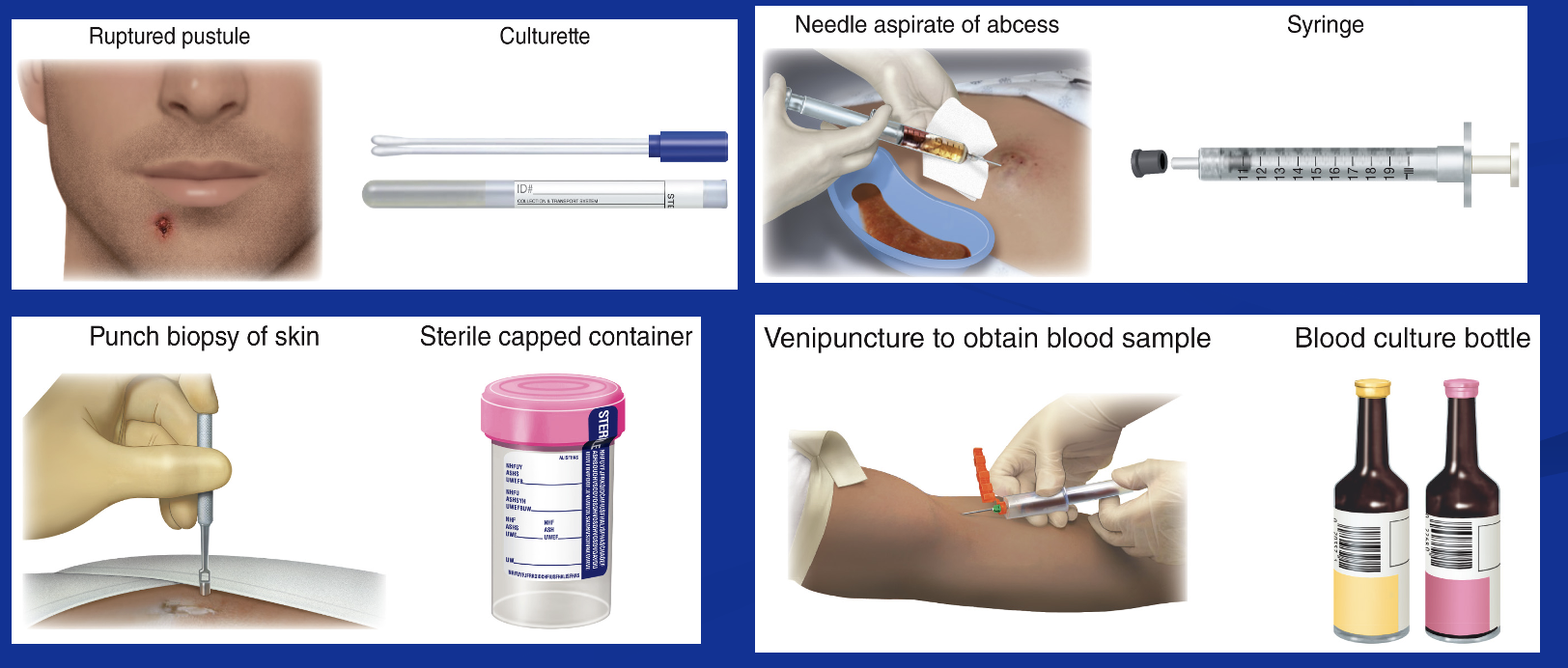 <p>Cultures in Clinical Practice </p>