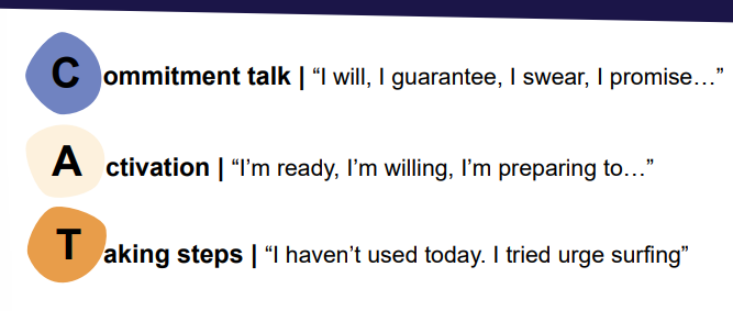 <ul><li><p>Commitment Talk</p></li><li><p>Activation </p></li><li><p>Taking Steps</p></li><li><p></p></li></ul><p></p>