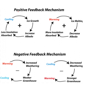 <p>Negative is like <strong>homeostasis</strong></p>