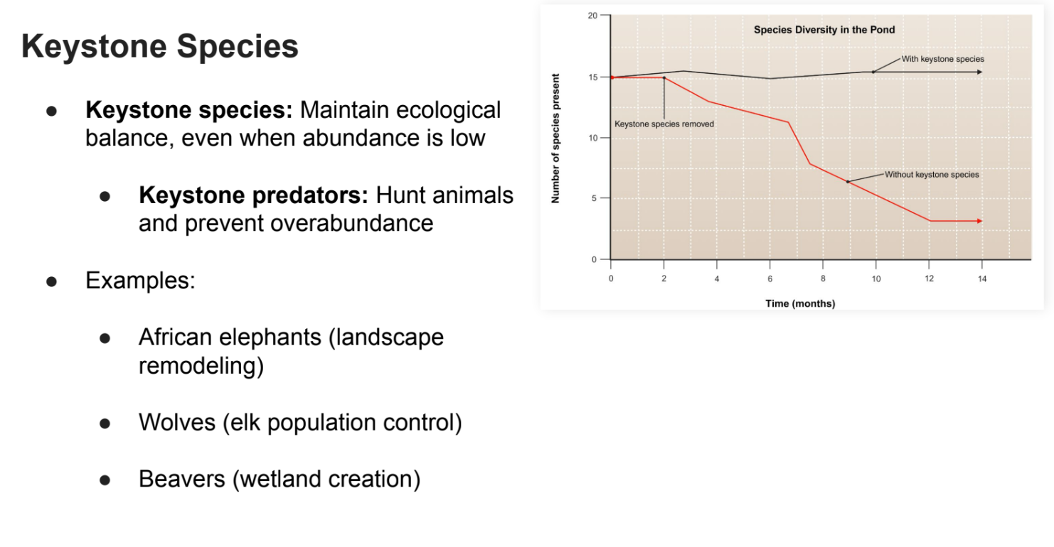 <p>Hunt <strong>animals </strong>and prevent <strong>overabundance</strong></p>