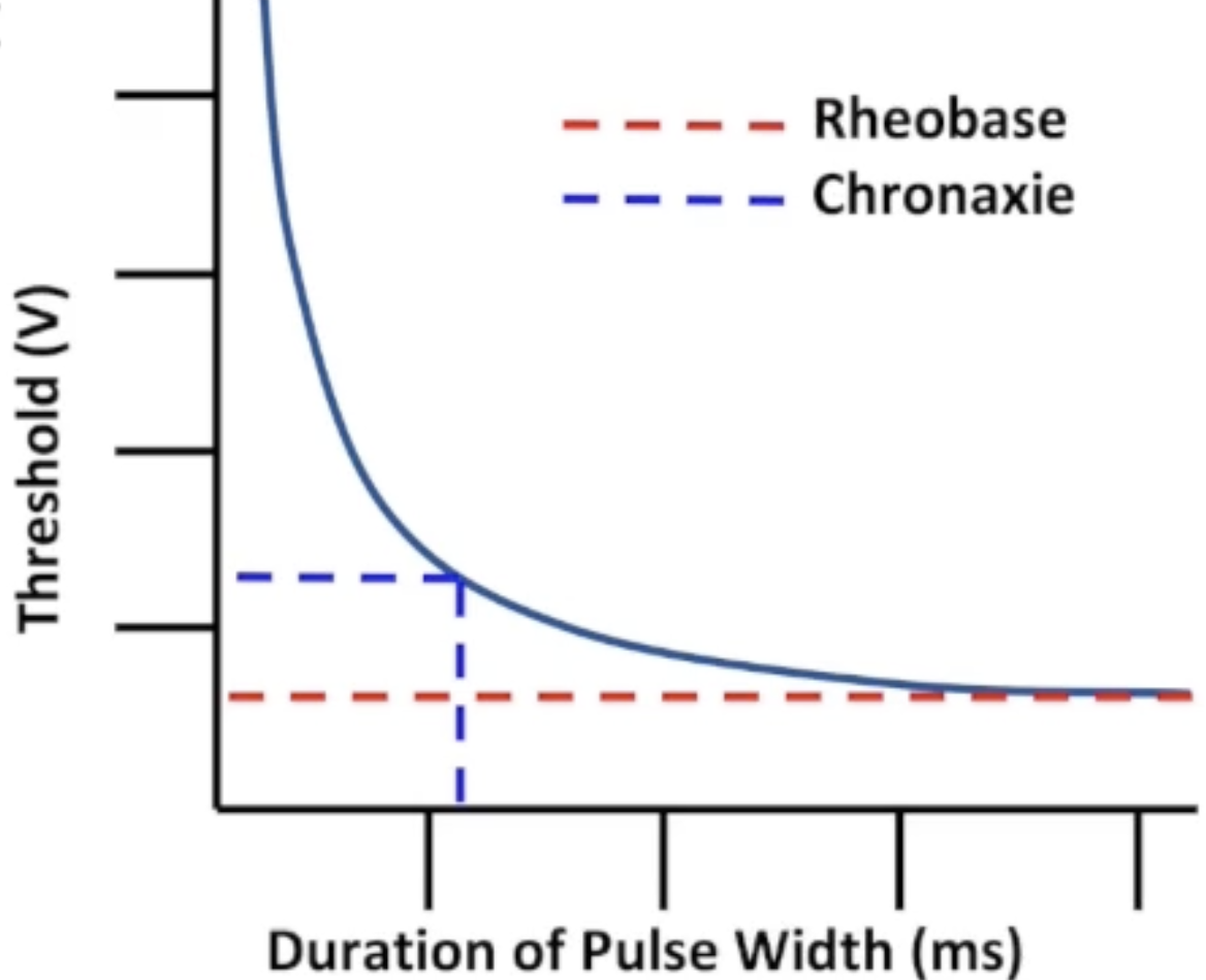 <ul><li><p>Rheobase: minimum voltage that captures at any pulse width</p></li><li><p>Chronaxie: shortest pulse width that captures at 2x rheobase voltage</p></li></ul><p></p>