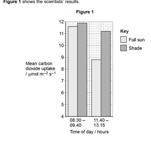 <p>Scientists investigated the effect of full sun and shade on the rate of photosynthesis in a species of shade-tolerant tree. To estimate the rate of photosynthesis, the scientists measured uptake of carbon dioxide by trees in a forest. They measured uptake of carbon dioxide during two parts of the day: </p><p>• 08.30 – 09.40 hours </p><p>• 11.40 – 13.15 hours.</p><p>In this species of tree, very high light intensities can inhibit the release of electrons from chlorophyll. Suggest how this could explain the results shown in Figure 1 for 11.40 to 13.15 hours. (4) </p>