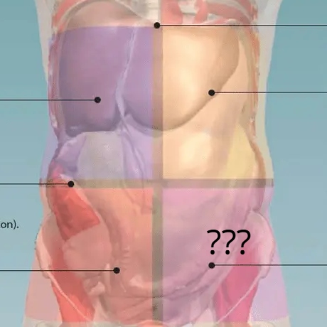 <p>What body quadrant ???</p>