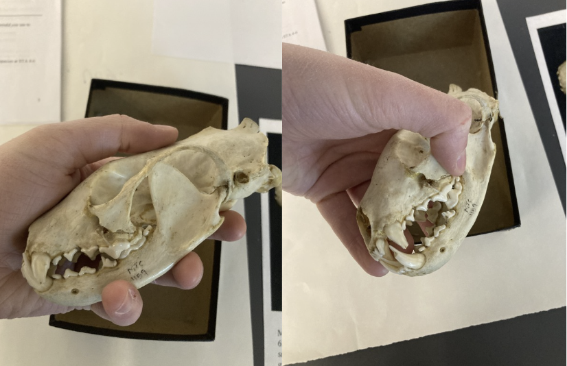 <p>What is this?</p>