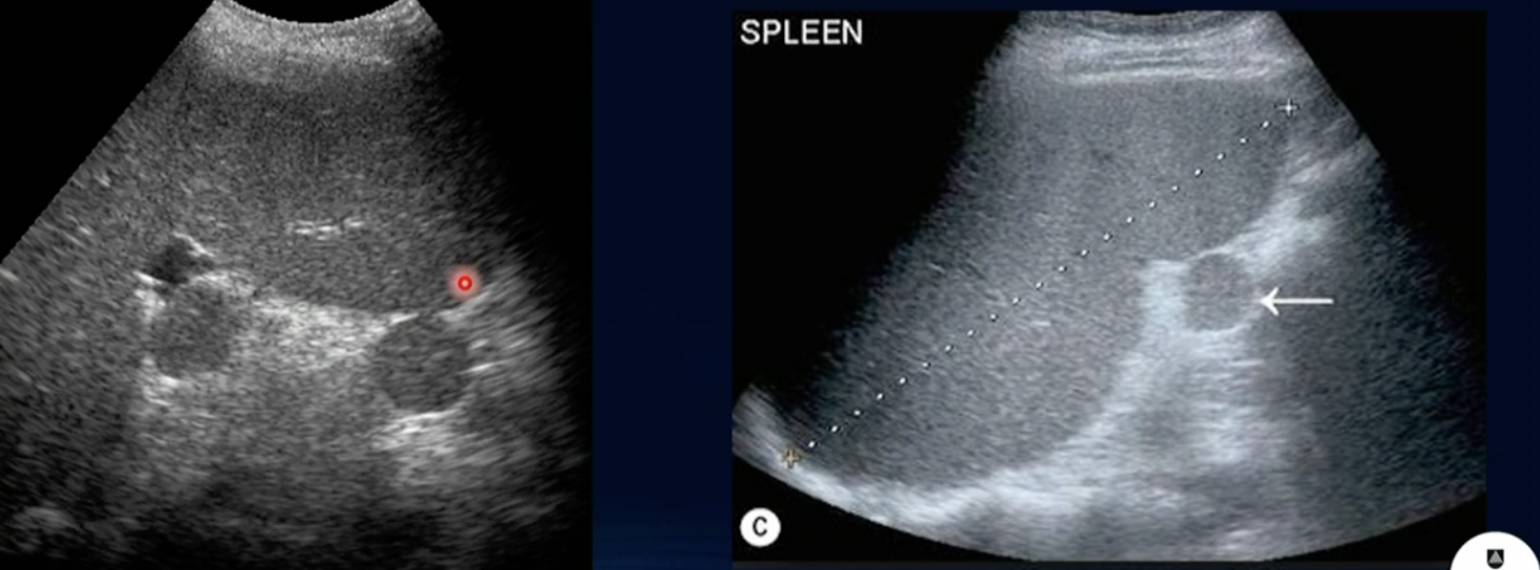 <p>What is this?</p>