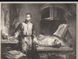 <p>Andreas Vesalius, 1543</p>