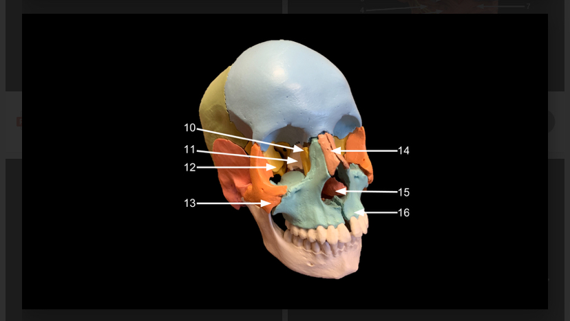 <p>WHAT IS 10 CALLED</p>