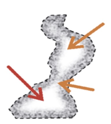 <p>What type of habitat patch is this?</p>