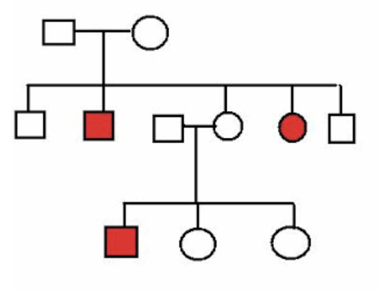 <p>What is the MOST likely mode of inheritance for the trait segregating in the pedigree below?</p>