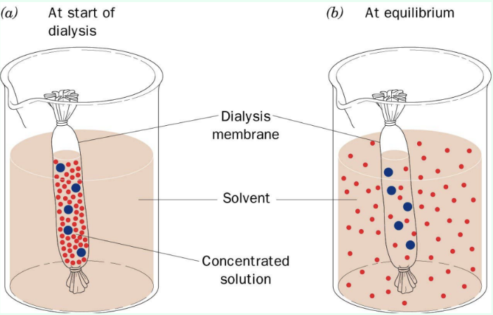 <p>What is <strong>dialysis</strong> used for?</p>