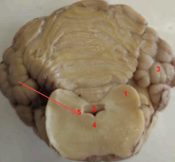 <p>what is this , function </p>