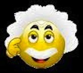 <p>having the capacity for thought and reason, esp. to a high degree; exercising or showing good judgment</p>