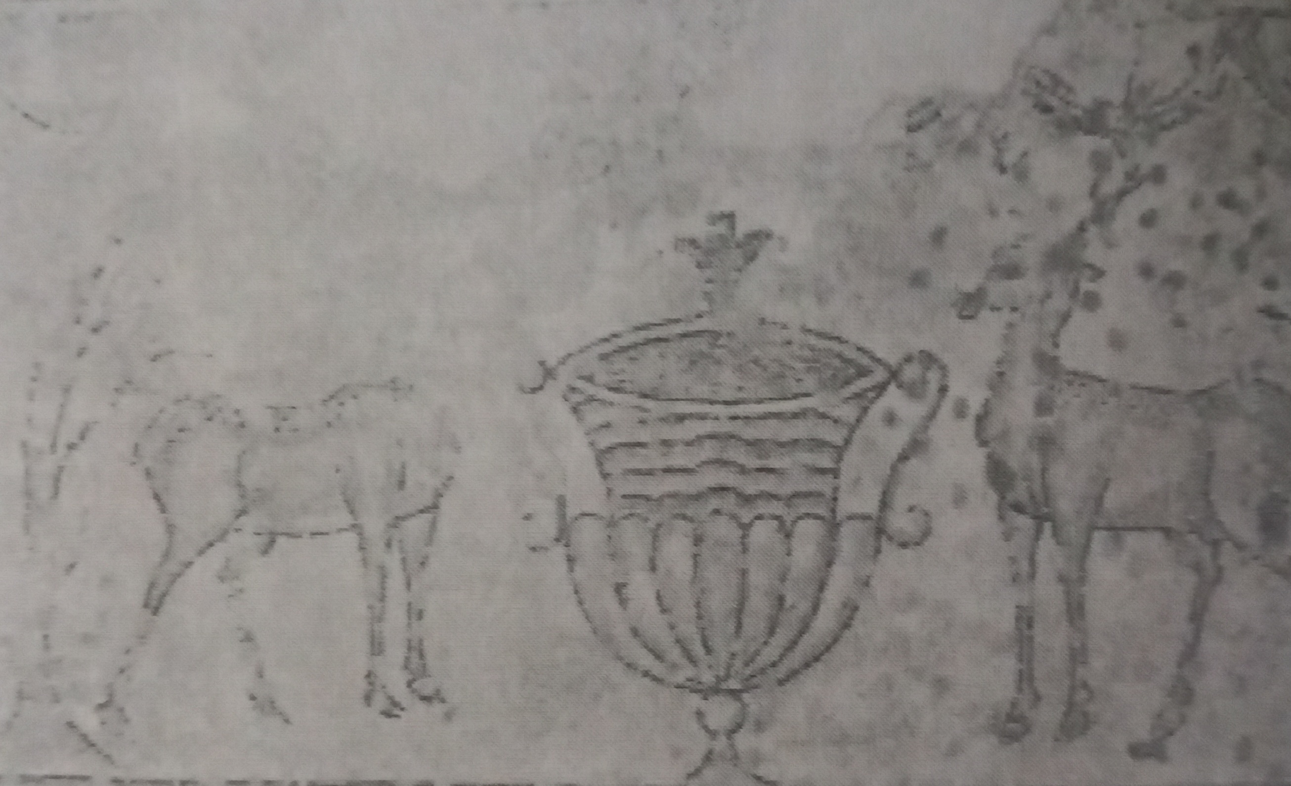 term image