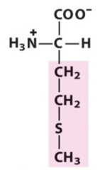 <p>Thiol ether</p>