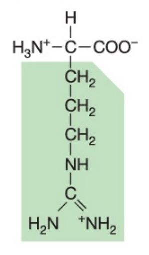 <p>What amino acid is this?</p>
