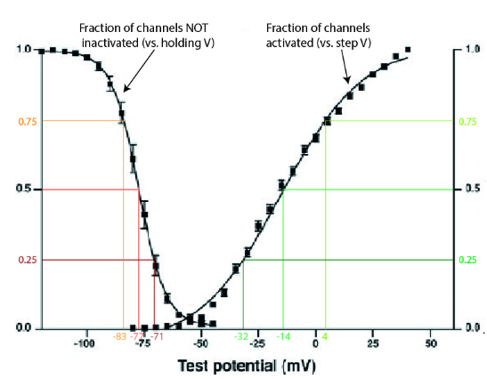 <p>how could you interpret this graph</p>