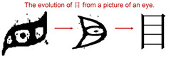 <p>(mù) eye</p>